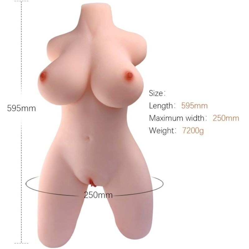 ARMONY - MODÈLE RÉALISTE DE TORSE FÉMININ 2 ARMONY - MODÈLE RÉALISTE DE TORSE FÉMININ 2