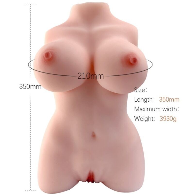 ARMONY - MODÈLE RÉALISTE DE TORSE FÉMININ 3 ARMONY - MODÈLE RÉALISTE DE TORSE FÉMININ 3