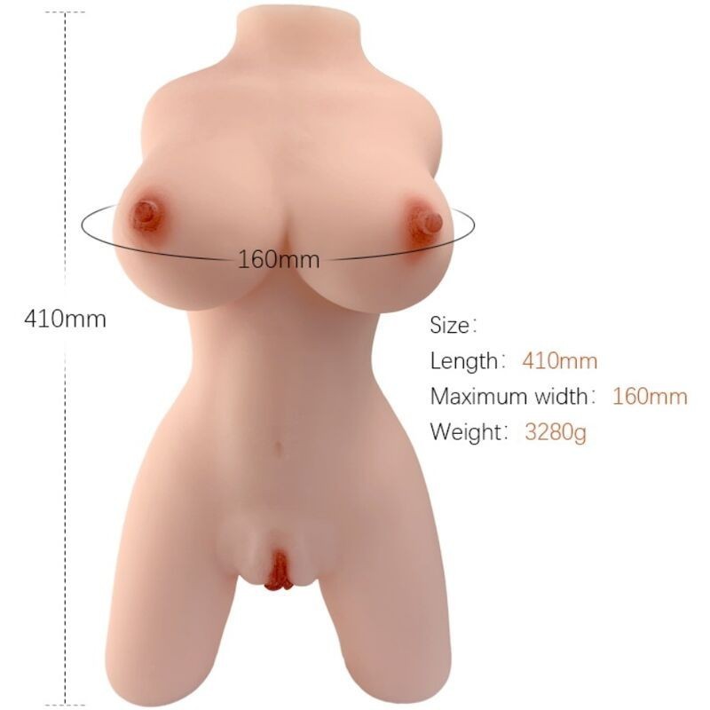ARMONY - MODÈLE RÉALISTE DE TORSE FÉMININ 4 ARMONY - MODÈLE RÉALISTE DE TORSE FÉMININ 4