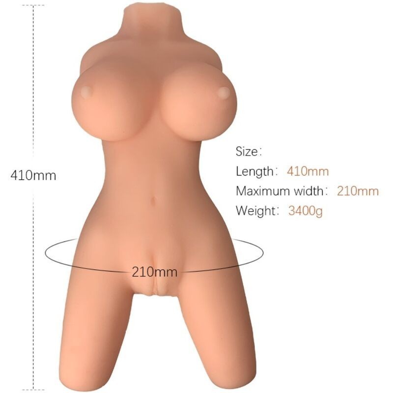 ARMONY - MODÈLE RÉALISTE DE TORSE FÉMININ 8 ARMONY - MODÈLE RÉALISTE DE TORSE FÉMININ 8