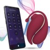 INSPIRATION CLITORIS SUCKER + ŒUF VIBRANT - APPLICATION GRATUITE