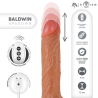 BALDWIN RÉALISTE MULTIFONCTIONNEL AVEC VIBRATION, TÉLÉCOMMANDE HAUT/BAS, 22 CM - OU - 4 CM