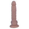 19 PÉNIS RÉALISTE 20 CM -O- 3.1 CM