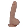 17 PÉNIS RÉALISTE 19.7 CM -O- 4.1 CM
