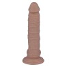 15 PÉNIS RÉALISTE 19.5 CM -O- 4.1 CM