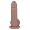 14 PÉNIS RÉALISTE 18.5 CM -O- 3.8 CM