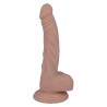 12 PÉNIS RÉALISTE 18.2 CM -O- 2.5 CM