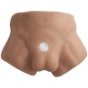 SILEXD - TORSE DHOMME RÉALISTE APOLLO S CARAMEL