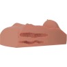 Masturbateur torse féminin double entrée candy