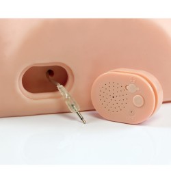 Masturbateur Baisez-le Silly