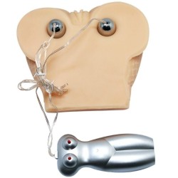 Vagin et anus réaliste avec maille