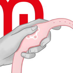 MONTRE À TECHNOLOGIE SANS FIL ROSE TENDRE