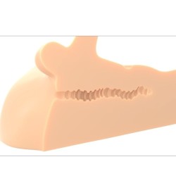 Masturbateur pénis et anus perfect ride